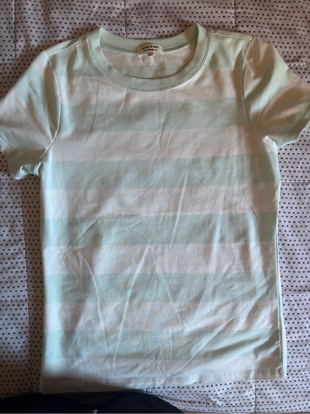 Short Sleeve Stripe Tee - Mint & White